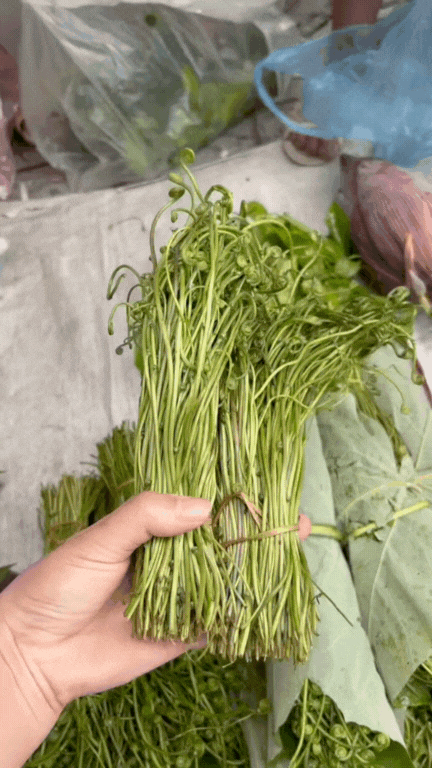 M&oacute;n rau T&acirc;y Bắc g&acirc;y sốt TikTok: Phắc c&uacute;t t&ograve; ng&ograve;ng l&agrave; g&igrave; m&agrave; ai xem cũng muốn ăn thử?- Ảnh 2.