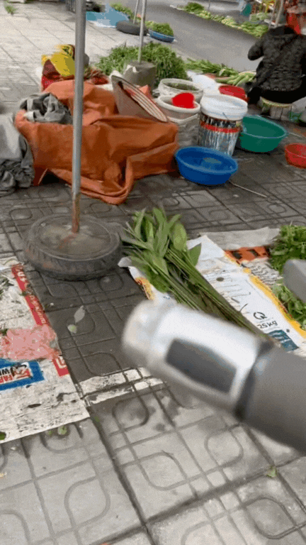 M&oacute;n rau T&acirc;y Bắc g&acirc;y sốt TikTok: Phắc c&uacute;t t&ograve; ng&ograve;ng l&agrave; g&igrave; m&agrave; ai xem cũng muốn ăn thử?- Ảnh 3.