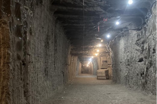 Đem sinh vật cổ đại trong hầm qu&acirc;n sự s&acirc;u 100m dưới đất về, chuy&ecirc;n gia hoang mang: 'Ch&uacute;ng đang sống lại'- Ảnh 1.