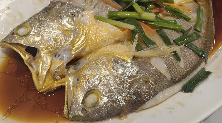 6 Loại Cá Ít Xương, Thịt Mềm 6 Loại Cá Ít Xương, Thịt Mềm