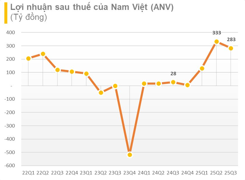 'Vua cá tra' báo lãi 9 tháng đầu năm gấp 18 lần cùng kỳ, cổ phiếu tăng hơn 60% từ đầu năm- Ảnh 2. 'Vua cá tra' báo lãi 9 tháng đầu năm gấp 18 lần cùng kỳ, cổ phiếu tăng hơn 60% từ đầu năm- Ảnh 2.