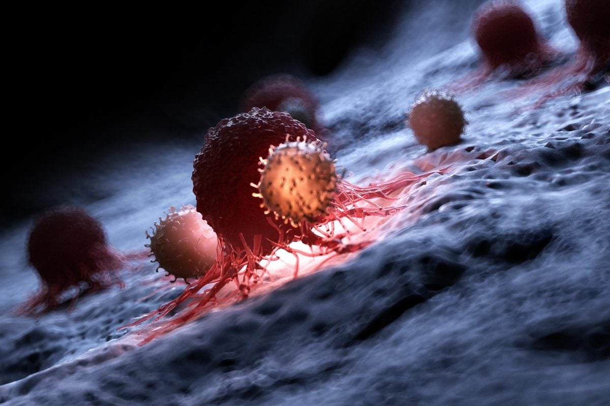 Đột phá: Dùng gene virus lồng trong vi khuẩn tiêu diệt ung thư- Ảnh 1. Đột phá: Dùng gene virus lồng trong vi khuẩn tiêu diệt ung thư- Ảnh 1.