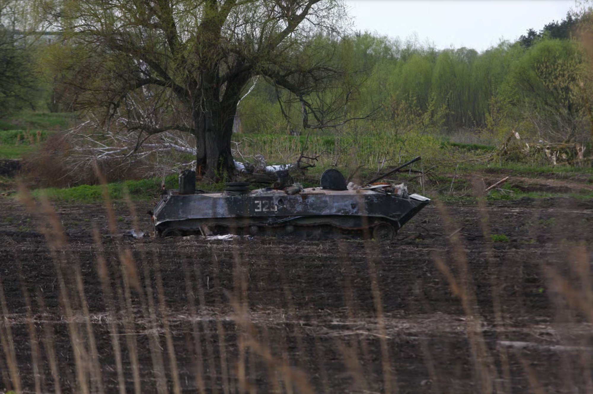 Chiến lược quân sự kỳ lạ ‘để thiên nhiên chiến đấu thay’ của NATO nhằm đối phó Nga- Ảnh 3. Chiến lược quân sự kỳ lạ ‘để thiên nhiên chiến đấu thay’ của NATO nhằm đối phó Nga- Ảnh 3.