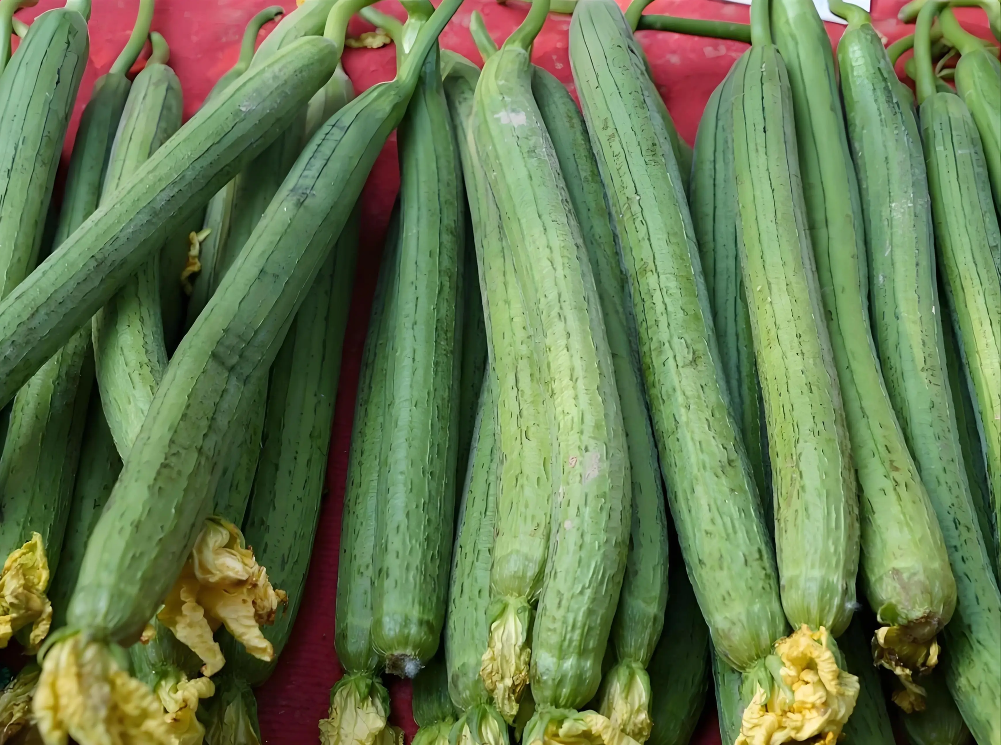 Vào thu, 6 loại rau tưởng bổ nhưng hóa hại, ngay cả người bán cũng tránh xa- Ảnh 1.