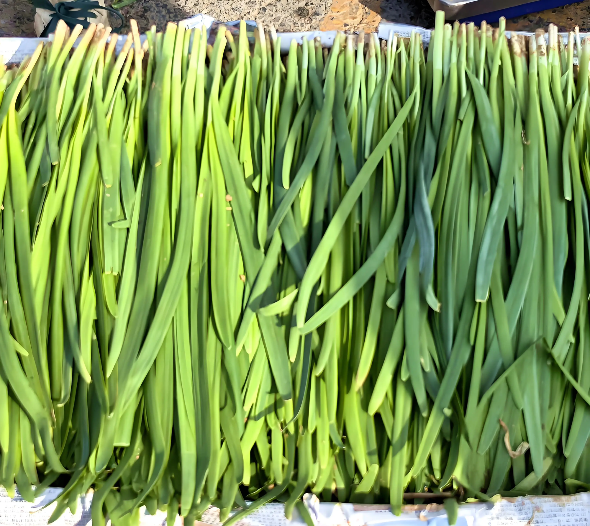 Vào thu, 6 loại rau tưởng bổ nhưng hóa hại, ngay cả người bán cũng tránh xa- Ảnh 3.