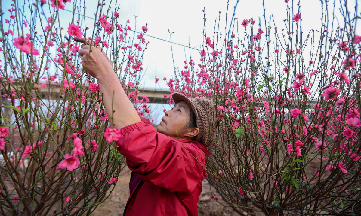 Đề xuất nghỉ Tết Nguyên đán 2026 kéo dài 9 ngày- Ảnh 1.