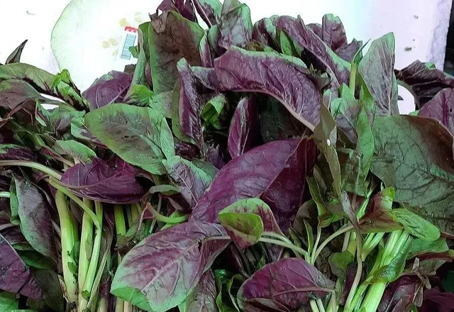 10 Loại Rau Bổ Có Thể “Làm Hỏng” Thận, Bác Sĩ Cảnh Báo, Trước Khi Xào Nấu Nhớ Làm Ngay Việc Này- Ảnh 1. 10 Loại Rau Bổ Có Thể “Làm Hỏng” Thận, Bác Sĩ Cảnh Báo, Trước Khi Xào Nấu Nhớ Làm Ngay Việc Này- Ảnh 1.