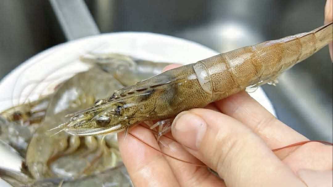 Có nên bỏ chỉ tôm không? Một ngư dân 60 tuổi xua tay 