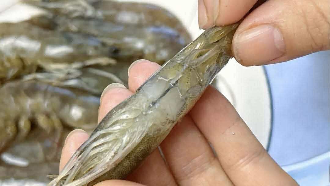 Có nên bỏ chỉ tôm không? Một ngư dân 60 tuổi xua tay 