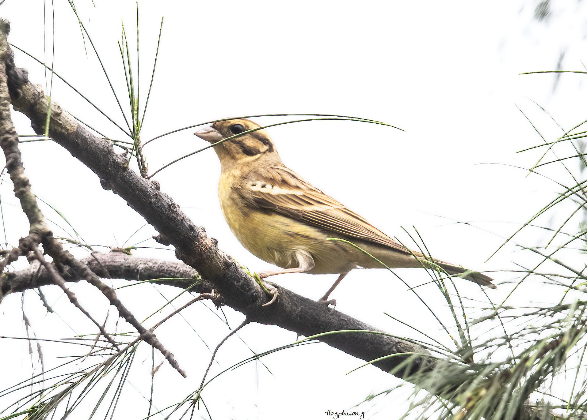 Kh&aacute;o s&aacute;t suốt nửa năm, ph&aacute;t hiện 27 