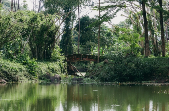 Nam NSƯT giàu nhất nhì Việt Nam làm chủ 2 khu du lịch và 5 hòn đảo, đi hát không cát-xê- Ảnh 5.