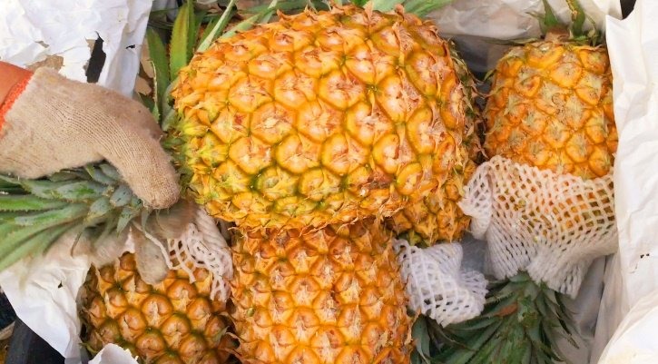 Chợ Việt có loại quả thơm nức mũi, giá rẻ rề chỉ từ 10.000 đồng/kg, quá dễ mua được Chợ Việt có loại quả thơm nức mũi, giá rẻ rề chỉ từ 10.000 đồng/kg, quá dễ mua được