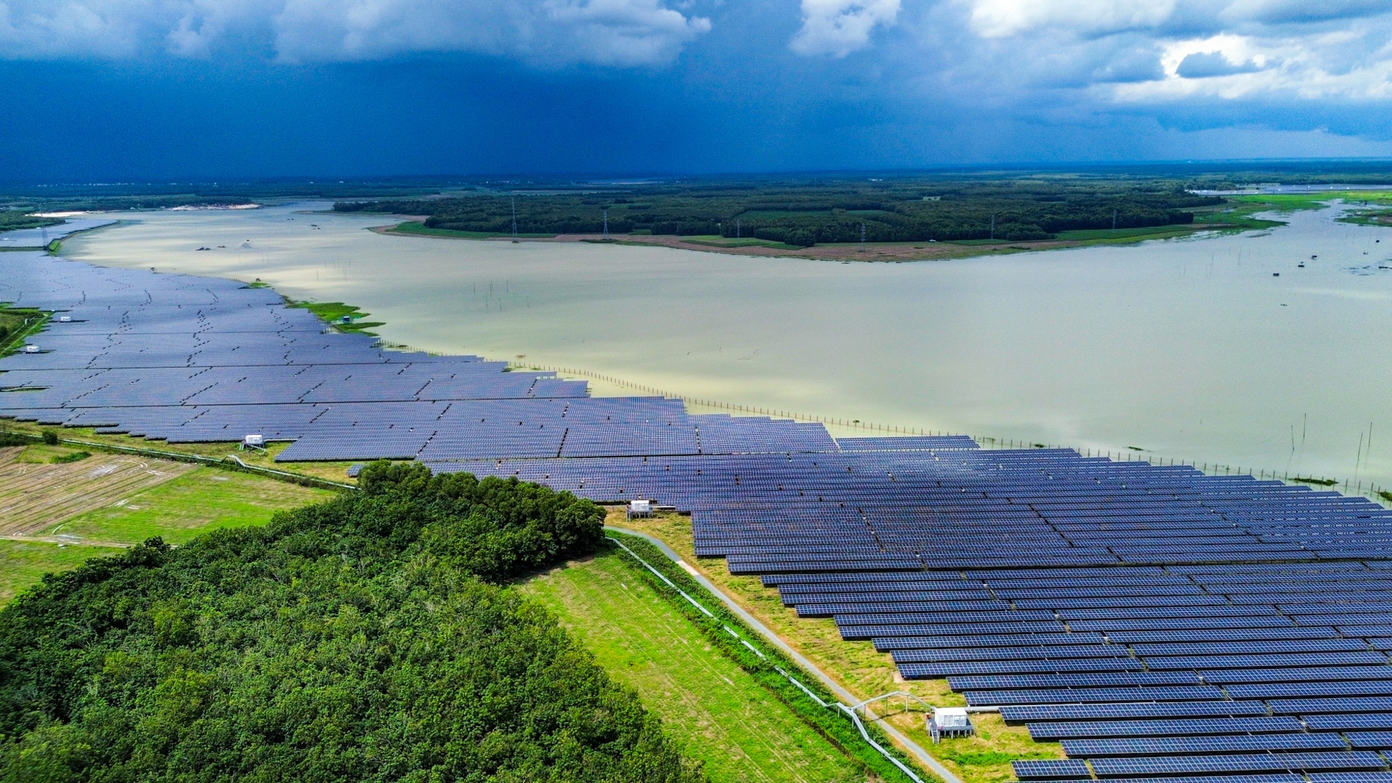 Loại quả Việt được khen “ngon nhất thế giới” chỉ có vào mùa hè, nay giữa mùa đông cũng có thể thưởng thức- Ảnh 2.