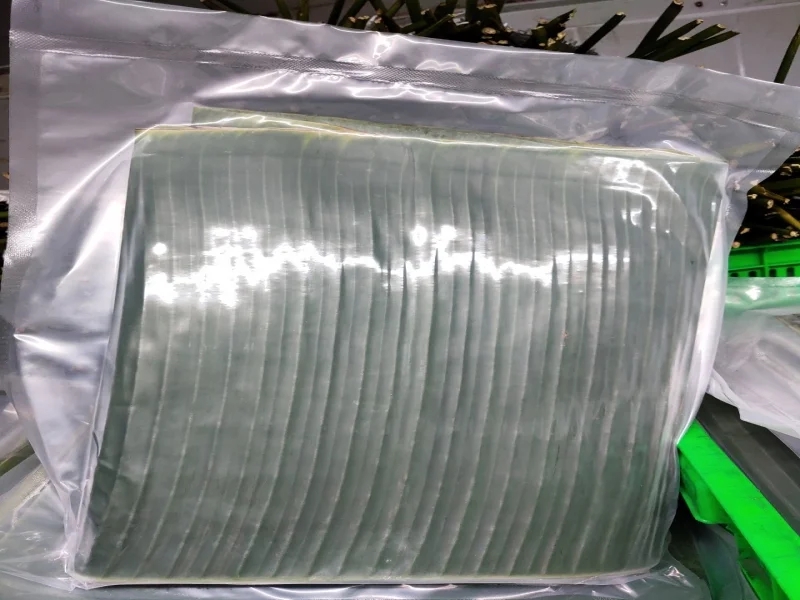 Việt Nam mạnh tay chi hơn 300 triệu USD nhập “hạt vàng” từ Mỹ: Vì sao nước ta “mê” đến vậy?- Ảnh 2.