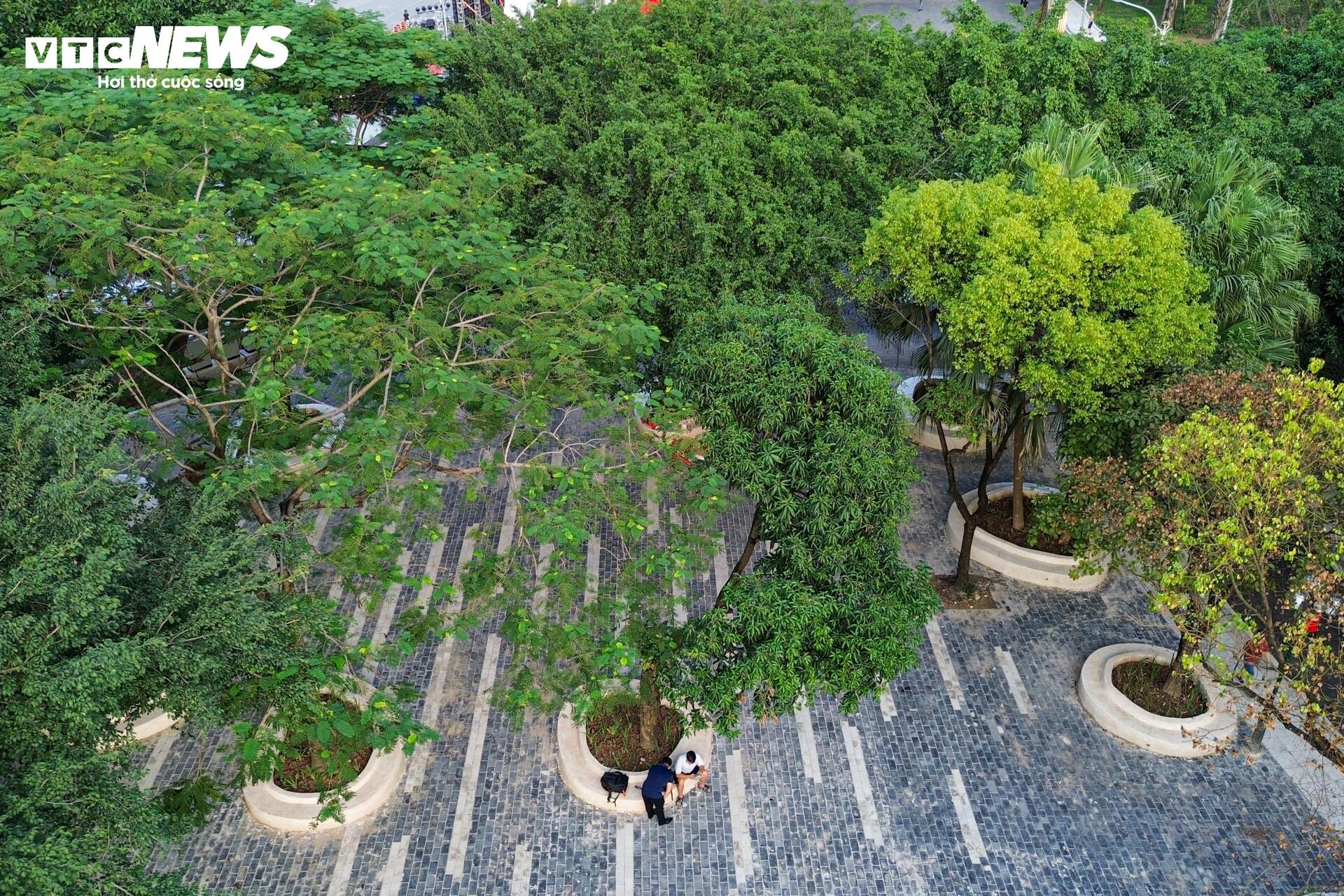 Được đầu tư cải tạo 66 tỷ đồng, công viên ở Hà Nội khang trang, khác lạ- Ảnh 15. Được đầu tư cải tạo 66 tỷ đồng, công viên ở Hà Nội khang trang, khác lạ- Ảnh 15.