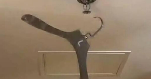 Treo m&oacute;c &aacute;o l&ecirc;n trần nh&agrave; k&iacute;ch hoạt hệ thống g&acirc;y ngập lụt kh&aacute;ch sạn, du kh&aacute;ch bị đ&ograve;i bồi thường 600 triệu- Ảnh 1.