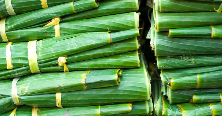 Ít ai ngờ, loại lá từng chỉ để gói xôi, gói bánh giúp Việt Nam thu 87.000 USD trong một tháng- Ảnh 1. Ít ai ngờ, loại lá từng chỉ để gói xôi, gói bánh giúp Việt Nam thu 87.000 USD trong một tháng- Ảnh 1.