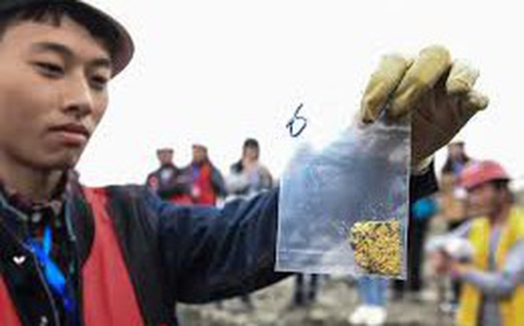 Ph&aacute;t hiện số v&agrave;ng trị gi&aacute; 12.000 tỷ dưới s&ocirc;ng- Ảnh 1.