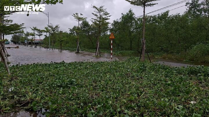 Chưa đổ bộ, bão số 12 đã gây triều cường, nhiều nơi ven phá Tam Giang ngập sâu- Ảnh 3.