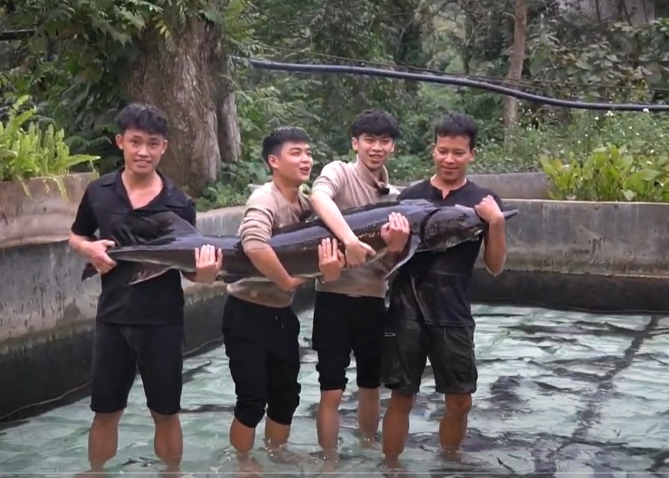 Cá tầm "15 năm tuổi" lớn nhất Việt Nam sắp được chào bán- Ảnh 2. Cá tầm "15 năm tuổi" lớn nhất Việt Nam sắp được chào bán- Ảnh 2.