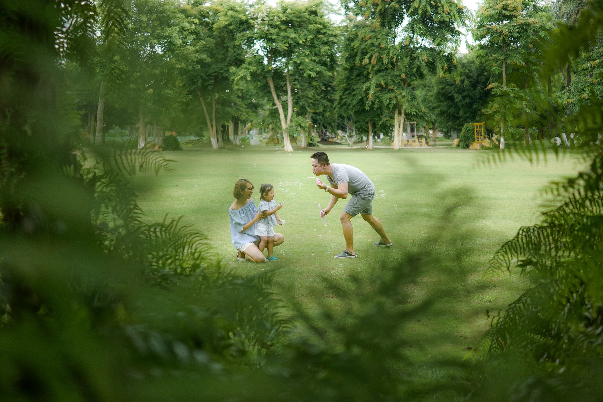 B&iacute; mật của &ldquo;liệu ph&aacute;p xanh&rdquo; đang lan tỏa to&agrave;n cầu: Chữa l&agrave;nh con người v&agrave; hồi sinh mẹ thi&ecirc;n nhi&ecirc;n- Ảnh 1.