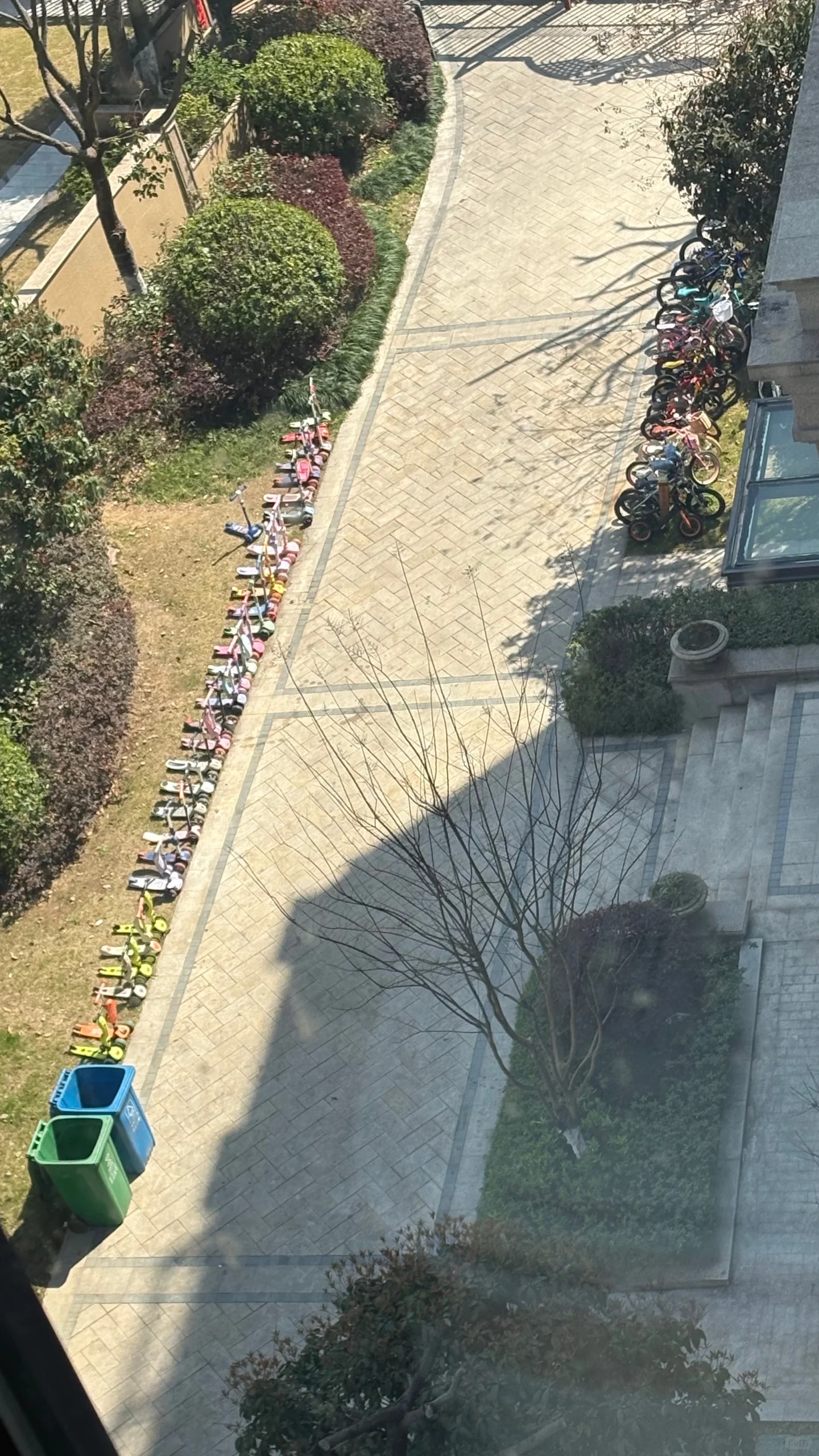 Bí mật phía sau bãi đỗ xe trường mầm non đang khiến MXH phát sốt- Ảnh 3.