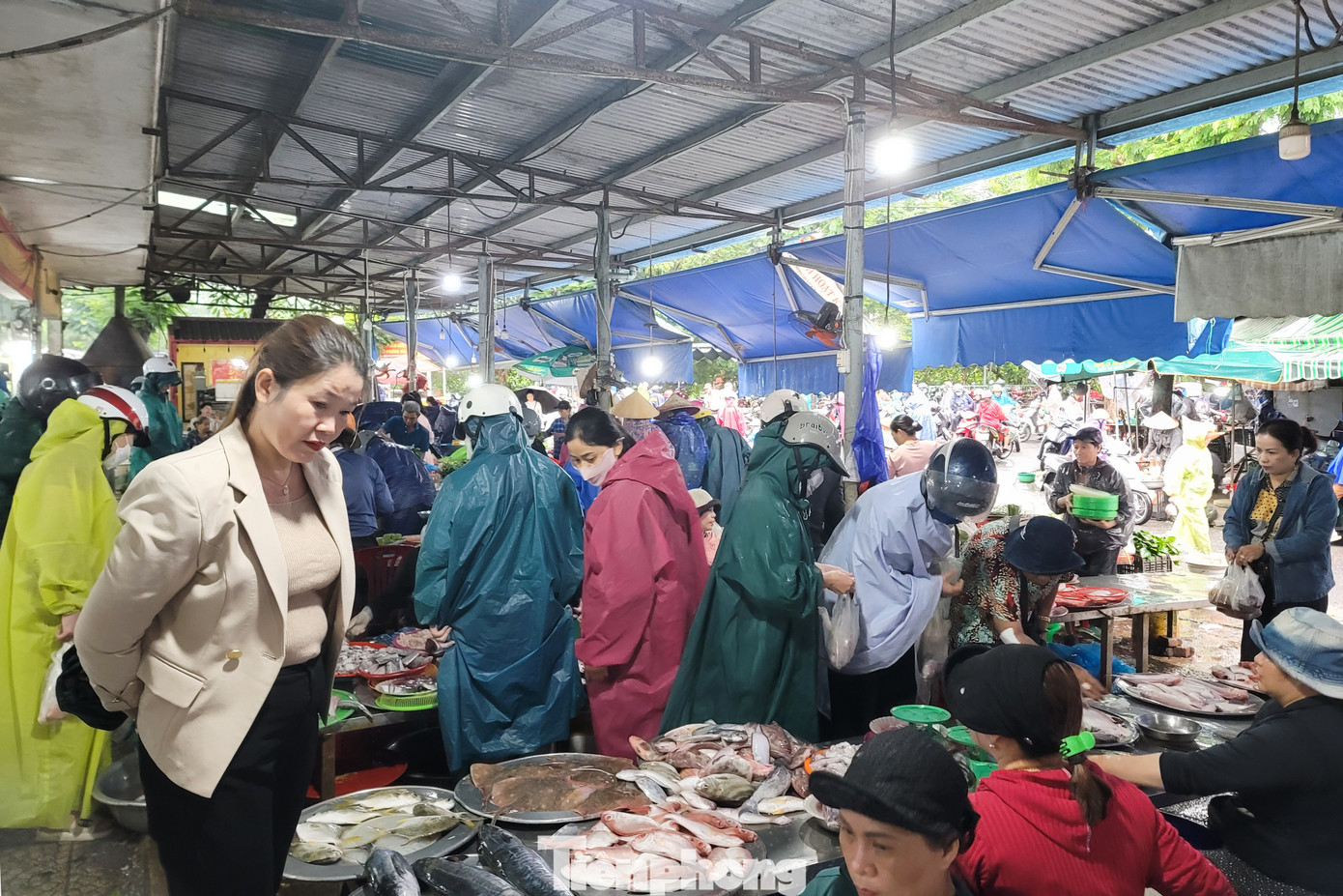 Người dân Đà Nẵng đi mua thực phẩm 'tích trữ 3 ngày' từ tinh mơ- Ảnh 4.