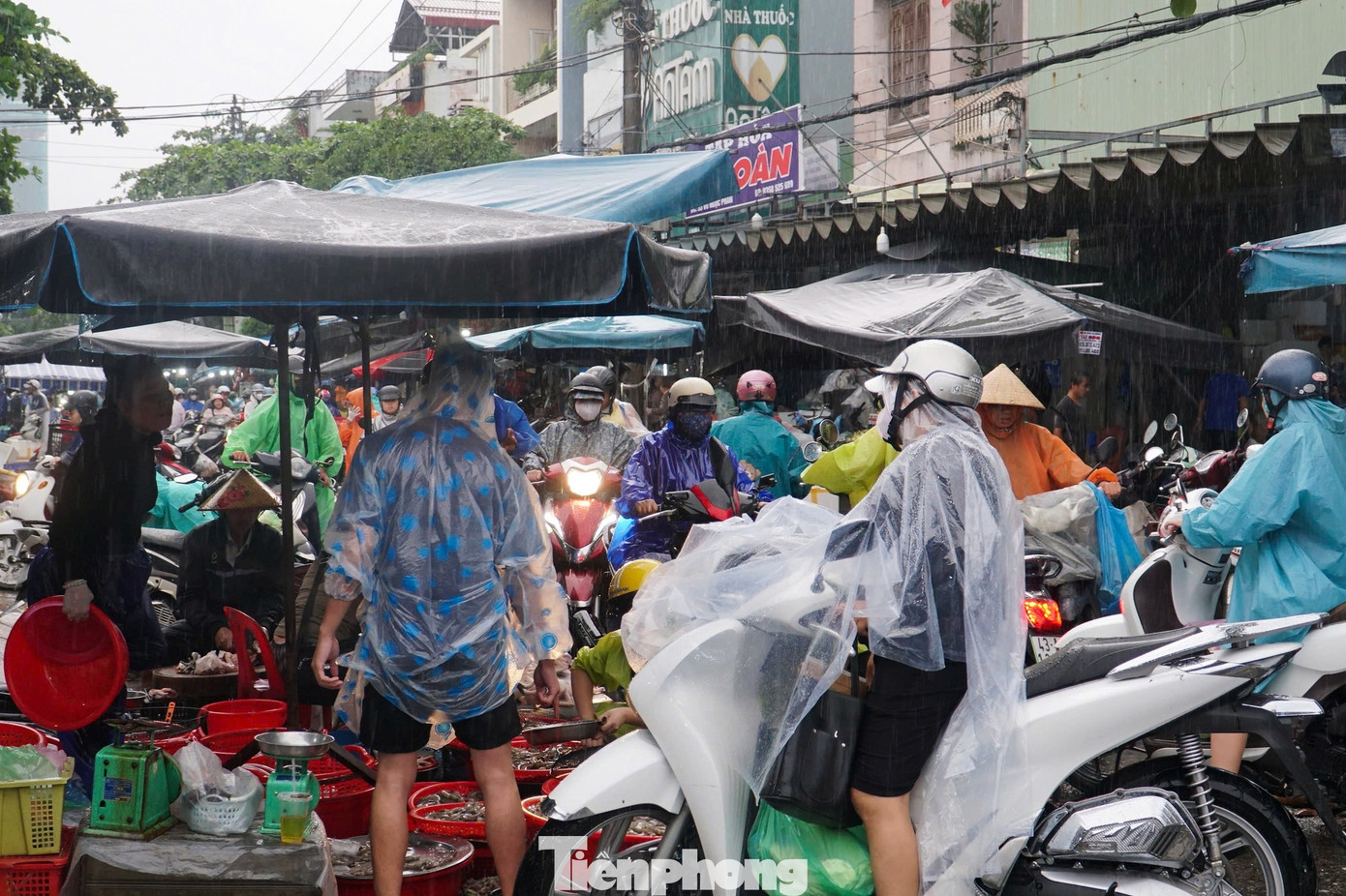 Người dân Đà Nẵng đi mua thực phẩm 'tích trữ 3 ngày' từ tinh mơ- Ảnh 13.