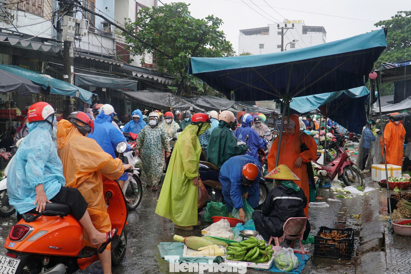 Người dân Đà Nẵng đi mua thực phẩm 'tích trữ 3 ngày' từ tinh mơ- Ảnh 14.