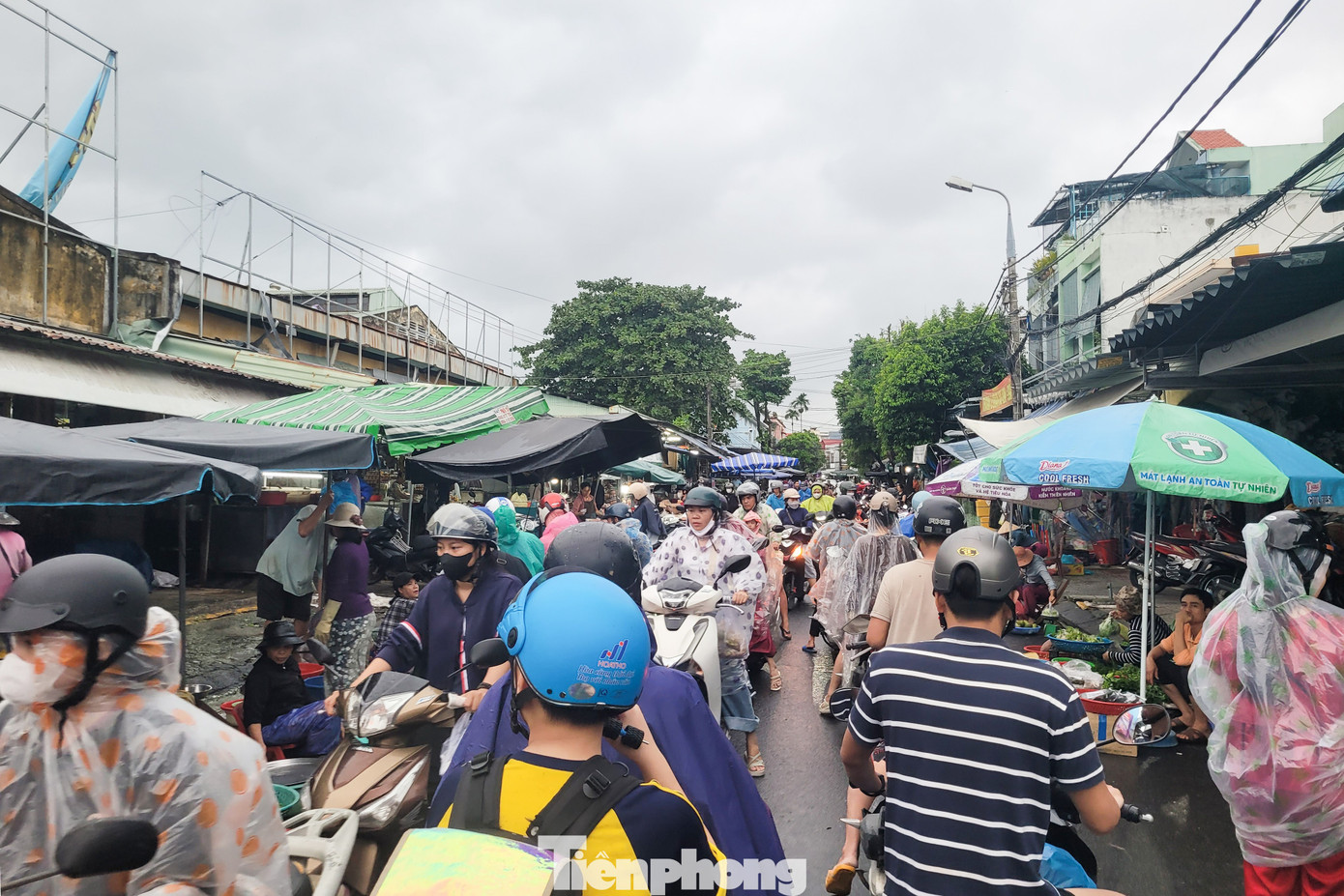 Người dân Đà Nẵng đi mua thực phẩm 'tích trữ 3 ngày' từ tinh mơ- Ảnh 15.