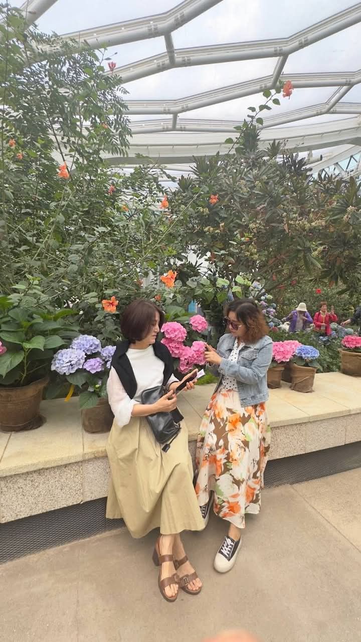 4 &ldquo;c&aacute;i bẫy&rdquo; người lớn tuổi dễ sa v&agrave;o - chỉ một ph&uacute;t mất cảnh gi&aacute;c, tiền t&iacute;ch c&oacute;p cả đời tan biến- Ảnh 1.