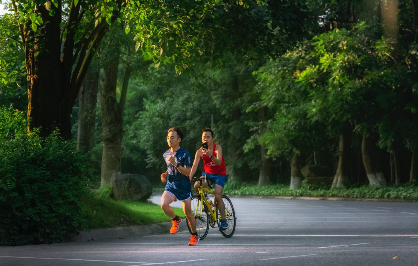 Tắm rừng - liệu pháp phục hồi, cải thiện sức khỏe được nhiều người nổi tiếng ưa chuộng- Ảnh 6.