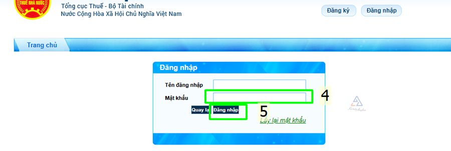Bán hàng kiếm đồng ra đồng vào: Làm sao biết mình có đang nợ thuế hay không?- Ảnh 10. Bán hàng kiếm đồng ra đồng vào: Làm sao biết mình có đang nợ thuế hay không?- Ảnh 10.