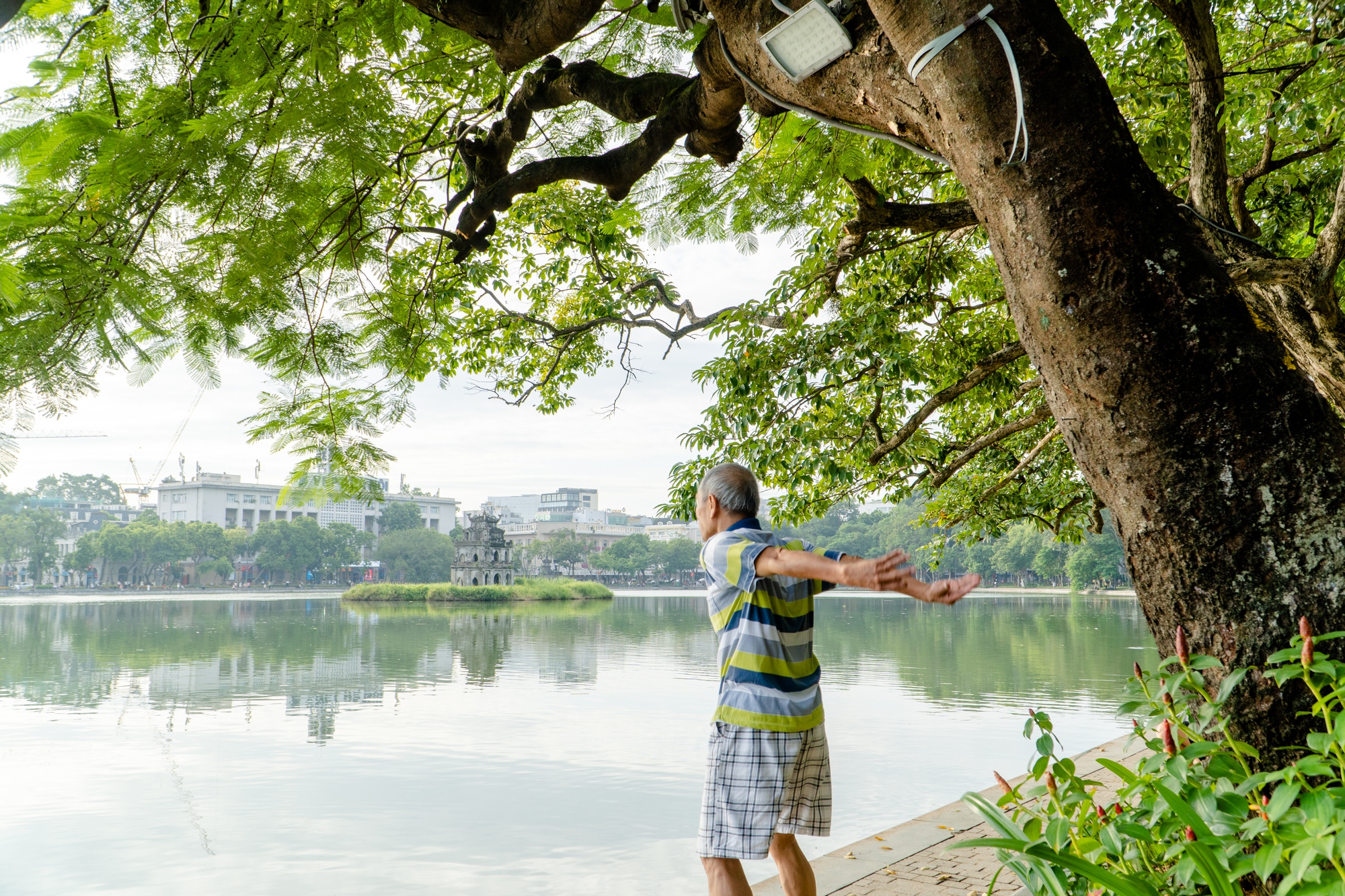 Những không gian xanh cho Hà Nội lành- Ảnh 9. Những không gian xanh cho Hà Nội lành- Ảnh 9.