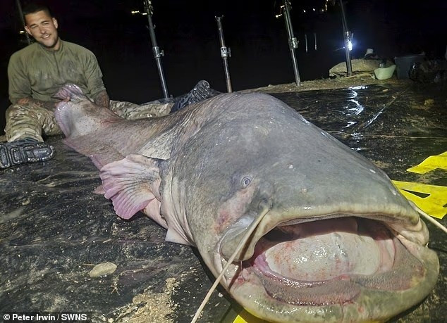 Ngư dân Anh kéo lên 'quái vật sông' dài gần 3 mét- Ảnh 1. Ngư dân Anh kéo lên 'quái vật sông' dài gần 3 mét- Ảnh 1.