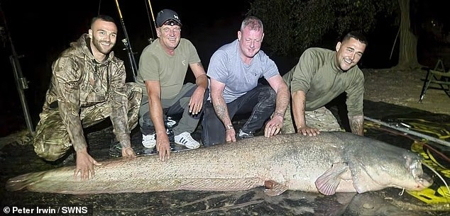 Ngư dân Anh kéo lên 'quái vật sông' dài gần 3 mét- Ảnh 3. Ngư dân Anh kéo lên 'quái vật sông' dài gần 3 mét- Ảnh 3.