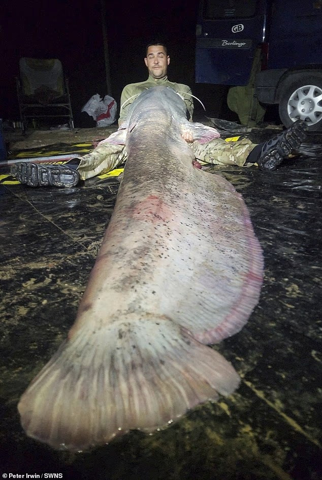 Ngư dân Anh kéo lên 'quái vật sông' dài gần 3 mét- Ảnh 4. Ngư dân Anh kéo lên 'quái vật sông' dài gần 3 mét- Ảnh 4.