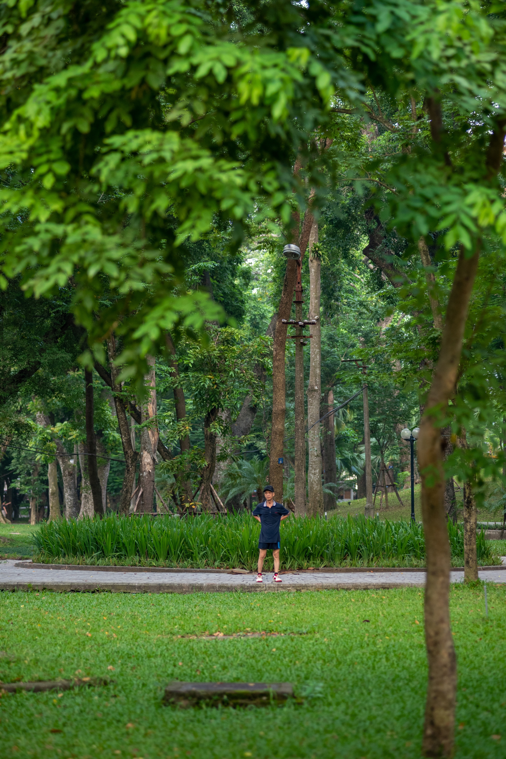 Những không gian xanh cho Hà Nội lành- Ảnh 12. Những không gian xanh cho Hà Nội lành- Ảnh 12.