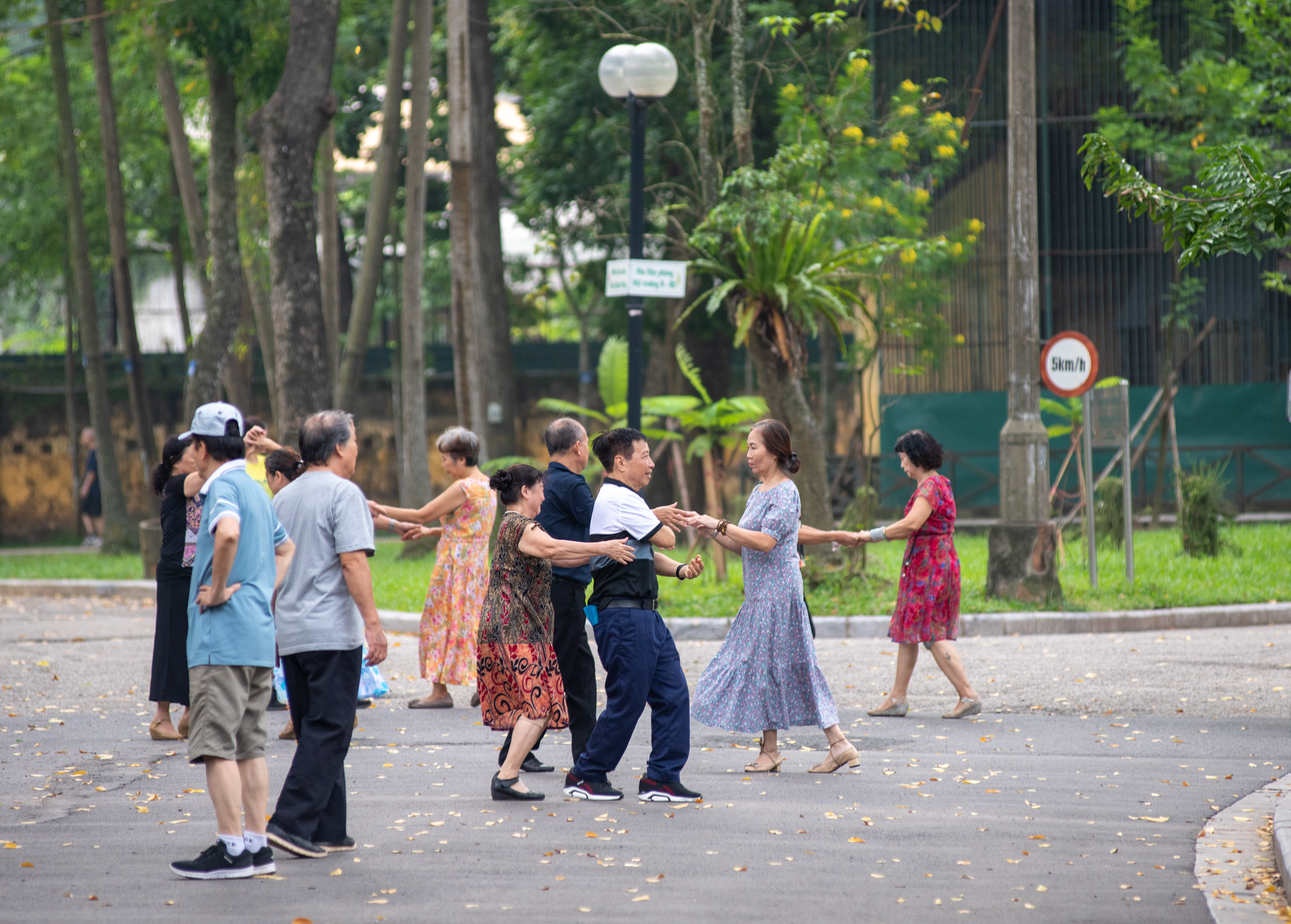 Những không gian xanh cho Hà Nội lành- Ảnh 13. Những không gian xanh cho Hà Nội lành- Ảnh 13.