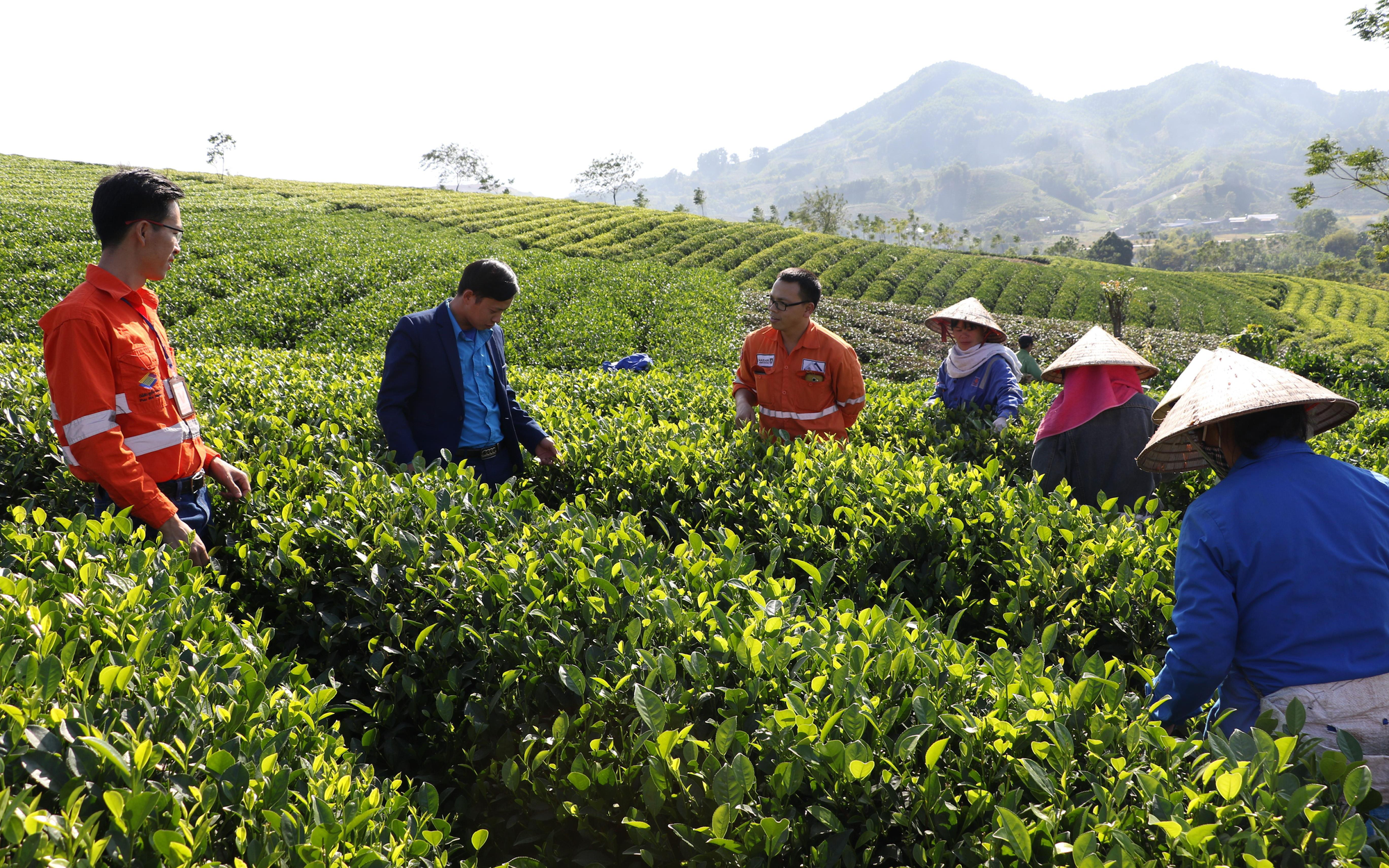 Việt Nam &ndash; EU: Kim ngạch thương mại bứt ph&aacute; nhờ đ&ograve;n bẩy xanh v&agrave; chuyển đổi số- Ảnh 1.