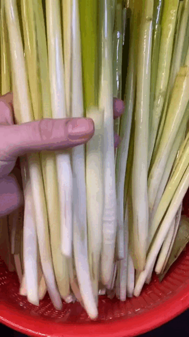 Rau mọc bờ bụi giờ th&agrave;nh đặc sản miền T&acirc;y: Gi&aacute; đắt hơn thịt, 120.000 đồng/kg vẫn nườm nượp người mua- Ảnh 3.