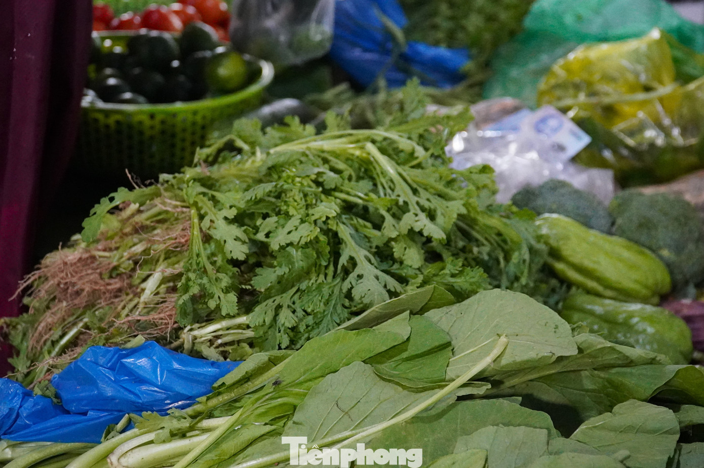 Người dân Đà Nẵng đi mua thực phẩm 'tích trữ 3 ngày' từ tinh mơ- Ảnh 9.