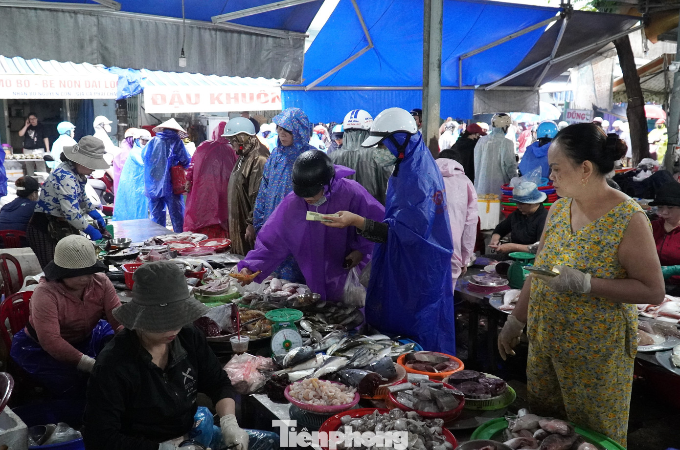 Người dân Đà Nẵng đi mua thực phẩm 'tích trữ 3 ngày' từ tinh mơ- Ảnh 3.