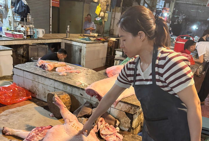 Kỹ sư thú y tiếp tay bán hơn 60 tấn lợn bệnh cho người dân làm thực phẩm- Ảnh 1.