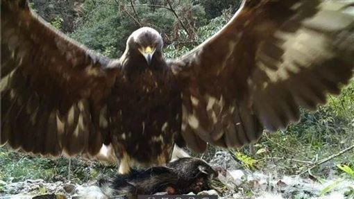 Không phải Dương Quá, đây là "cao thủ" cứu được Quách Tĩnh: Một tiếng hét khiến quân Mông Cổ khiếp sợ- Ảnh 4. Không phải Dương Quá, đây là "cao thủ" cứu được Quách Tĩnh: Một tiếng hét khiến quân Mông Cổ khiếp sợ- Ảnh 4.