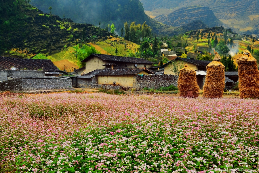 Việt Nam có thêm điểm được vinh danh "lý tưởng nhất châu Á": Cách Hà Nội 300km, báo quốc tế khen ngợi- Ảnh 10. Việt Nam có thêm điểm được vinh danh "lý tưởng nhất châu Á": Cách Hà Nội 300km, báo quốc tế khen ngợi- Ảnh 10.