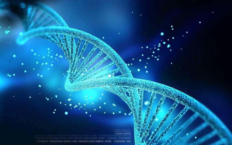 Bị bố chồng đuổi ra đường, con dâu quyết xét nghiệm ADN, lật tẩy bí mật giấu kín suốt 40 năm- Ảnh 1. Bị bố chồng đuổi ra đường, con dâu quyết xét nghiệm ADN, lật tẩy bí mật giấu kín suốt 40 năm- Ảnh 1.