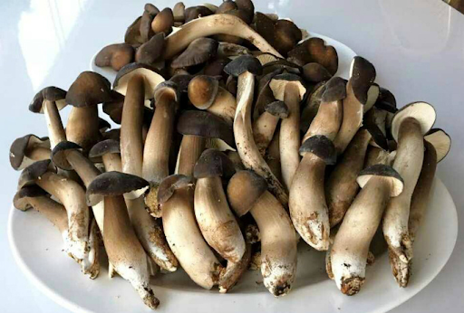 Đặc sản tiền tỷ thế giới, Việt Nam cũng có phiên bản bản địa thơm nồng, giá chỉ bằng khoảng 1/10.000- Ảnh 3.