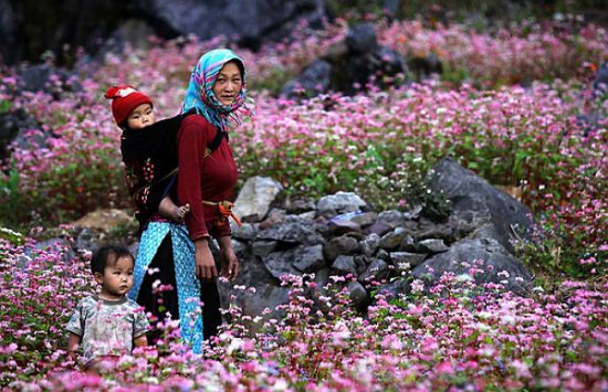 Việt Nam có thêm điểm được vinh danh "lý tưởng nhất châu Á": Cách Hà Nội 300km, báo quốc tế khen ngợi- Ảnh 12. Việt Nam có thêm điểm được vinh danh "lý tưởng nhất châu Á": Cách Hà Nội 300km, báo quốc tế khen ngợi- Ảnh 12.