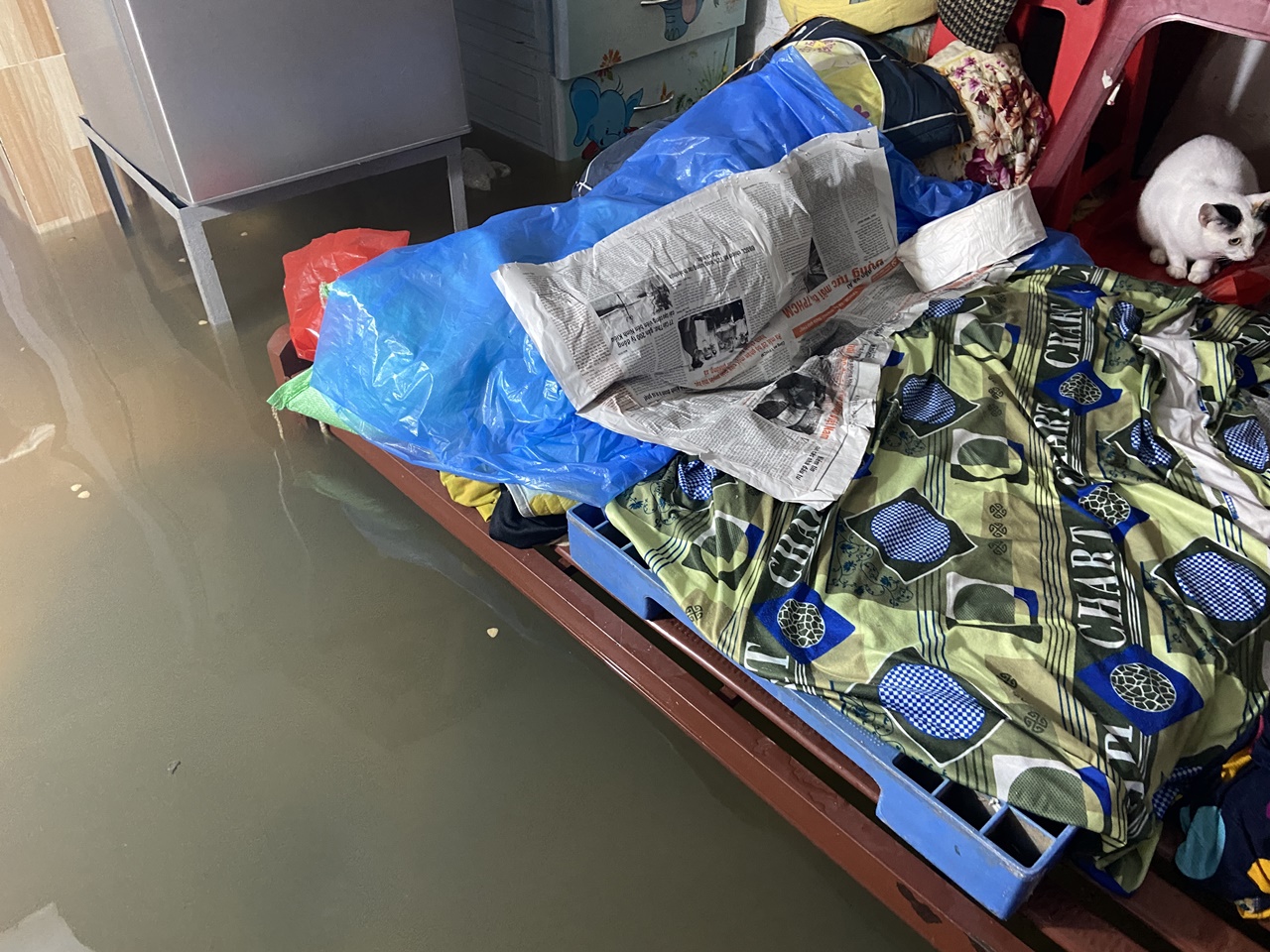 Khu phố tại TP.HCM chìm trong "biển" nước sáng 24/10: Người dân bì bõm đi làm, xe chết máy la liệt- Ảnh 8. Khu phố tại TP.HCM chìm trong "biển" nước sáng 24/10: Người dân bì bõm đi làm, xe chết máy la liệt- Ảnh 8.